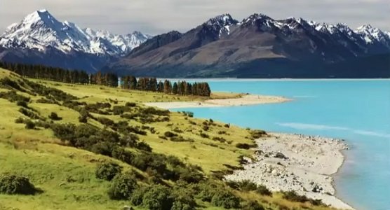 modere new zealand shaklee nz 